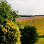 D'hotes Le Loubet LʼIsle-Jourdain