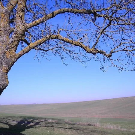 D'hotes Le Loubet 3* LʼIsle-Jourdain