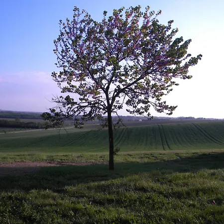 D'hotes Le Loubet Gæstehus