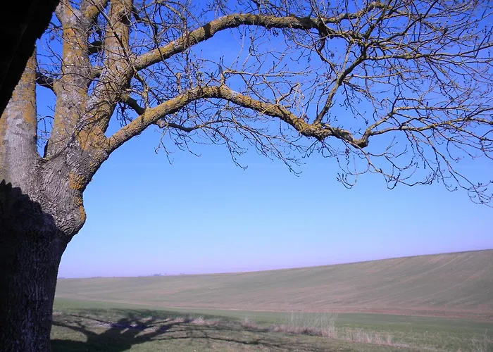 D'hotes Le Loubet 3* LʼIsle-Jourdain