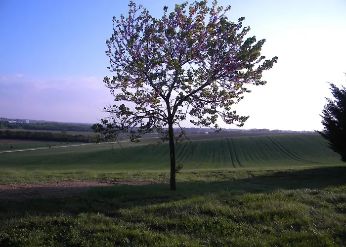 D'hotes Le Loubet Pensión