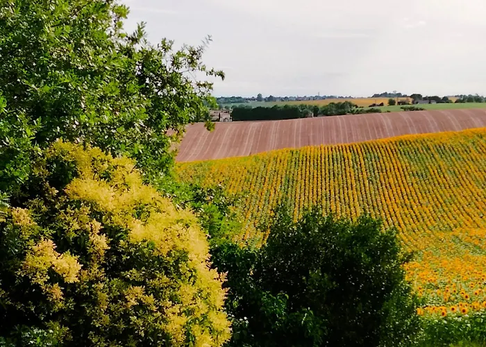 D'hotes Le Loubet LʼIsle-Jourdain